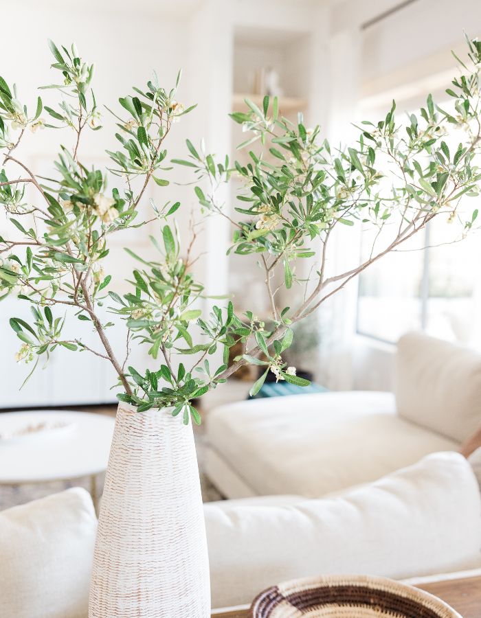 Plant in a white vase.